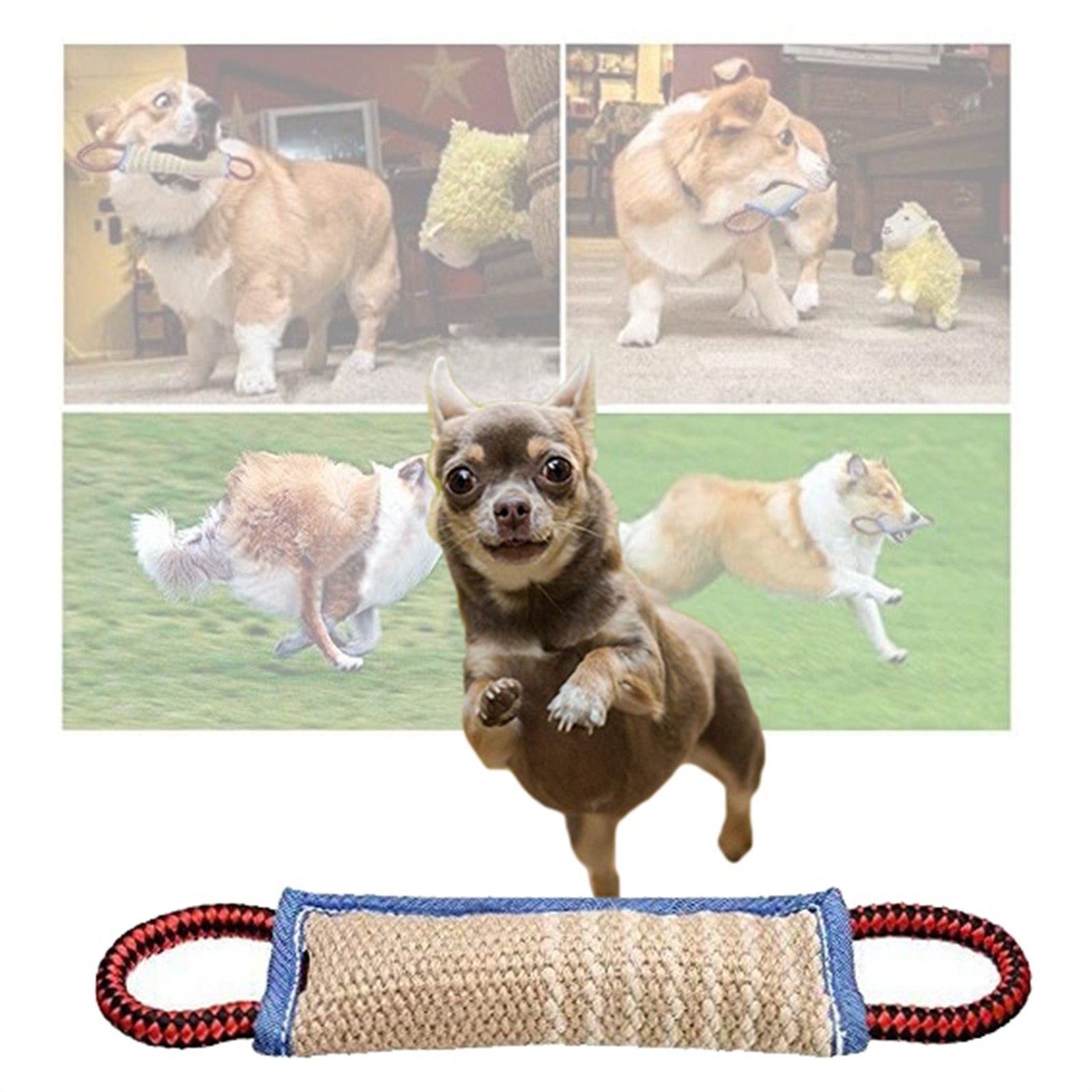 Tough Dog Toys Cute For Aggressive Washable Interesting Dog Toy Tug Interactive Kitten Cat Toy Perros Gatos Mascotas