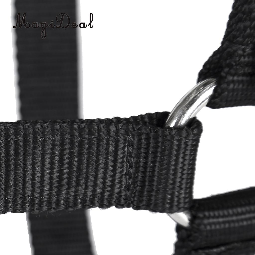 Adjustable Equestrian Western Horse Halter Fits 130cm - 165cm Horse Black/Blue/Red