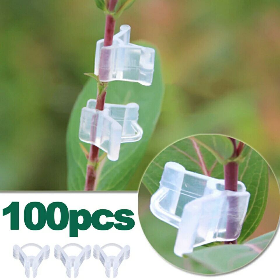 100 stk / sæt mini gennemsigtige plast podningsklemmer tomatplante støtteklemmer, der forbinder vinfrø podningsklemmer haven