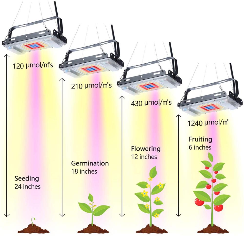 Indoor800W Led Grow Light Full Spectrum Led Phyto Groeiende Lampen Voor Planten Kas Hydrocultuur Tent Veg Bloei Bloem Zaaien