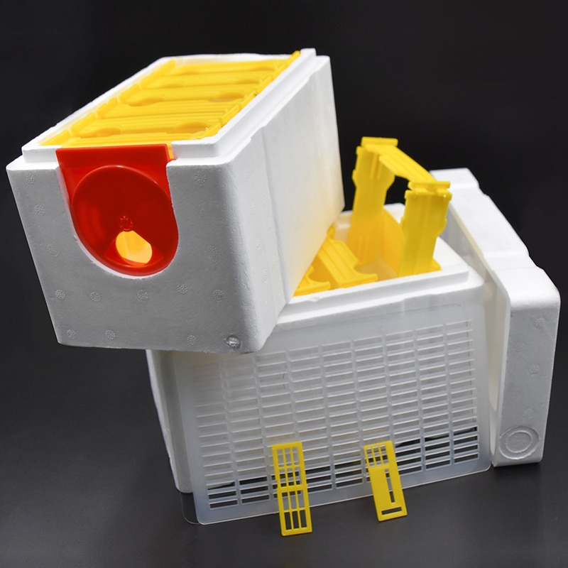 Beehive Hive Box 2 layer Harvest Queen Pollination Beekeeping For Bee Mating Copulation Queen Reserve Beekeeping Tool
