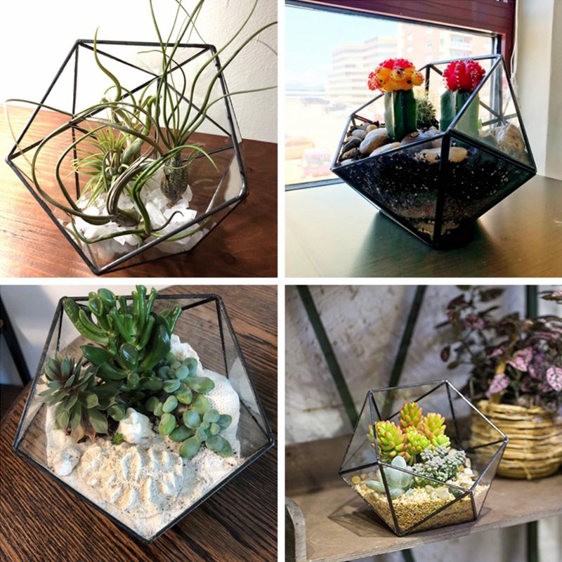 Glasglas terrarium förvaringslåda smyckeshållare, glas geometrisk terrarium bordsskiva saftig växtlåda planteringshållare/guld