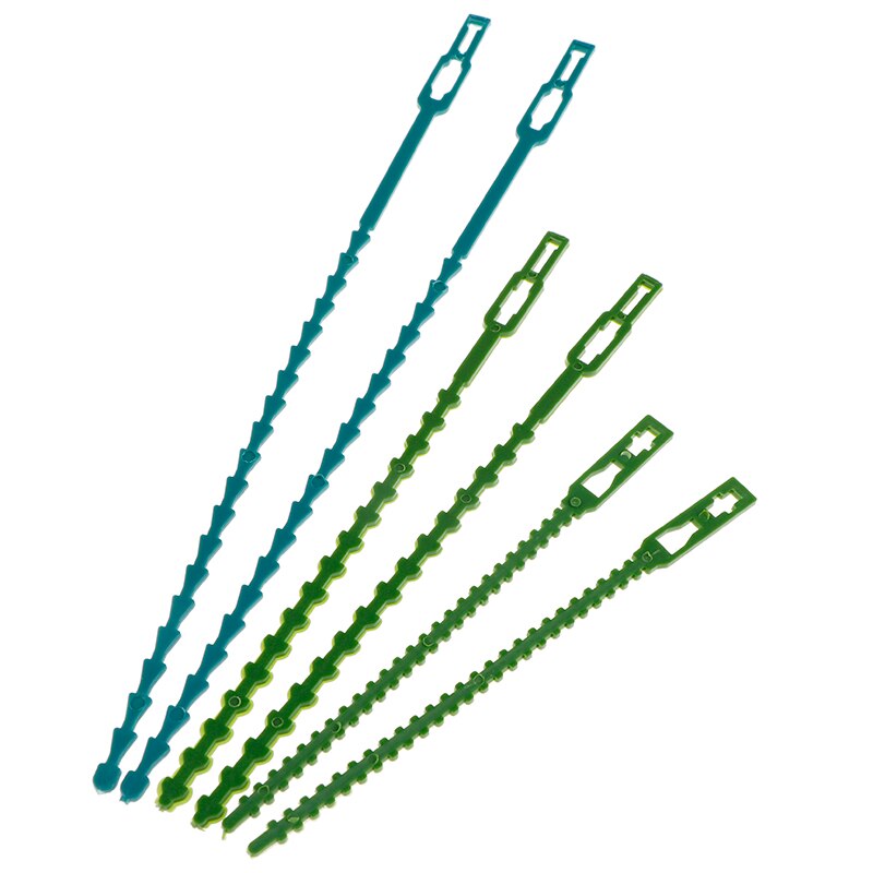 50/30 x Reusable Garden Plastic Plant Belt Ties Tie Garden Fishbone Band Tool