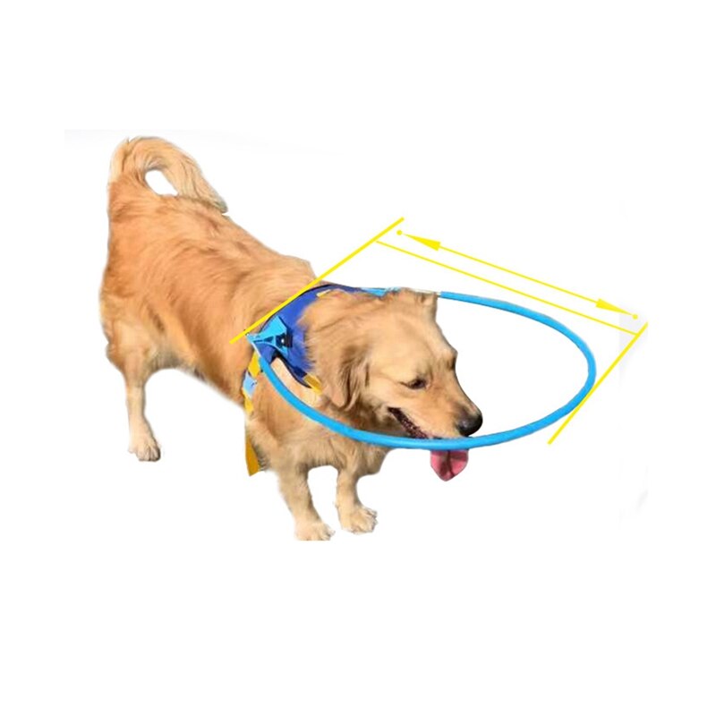 Blind pet durable anti-collision ring high material wear-resistant and durable dog halo 5 sizes blue
