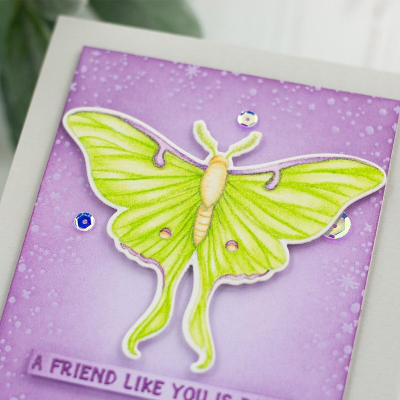 Butterfly Litlle Girls Animals Bear Deer crocodile Clear Stamps set and Coordinating dies For Scrapbooking Craft Die Cut Card