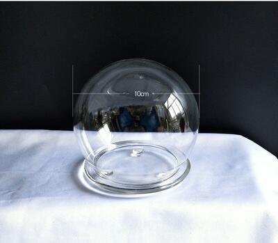Diameter = 10cm forskellige bund runde glas kuppel vase hjem dekoration glas kuppel ven bryllup dekoration: 1 sæt kuppel af glasbund