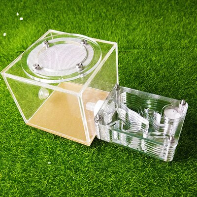 Tee itse z muurahaisfarmi akryylikosteus ruokintaalueella, hyönteinen muurahaishuvila lemmikki advanced mania maatilan muurahaiset: 4