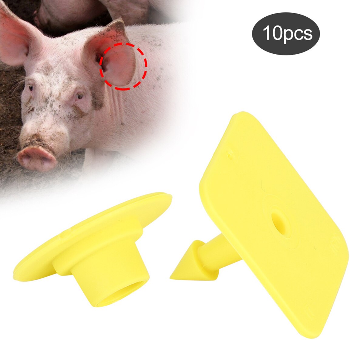 Pig Ear Tag Livestock Blank Ear Tags Farm Animal Management Identification Tag Set