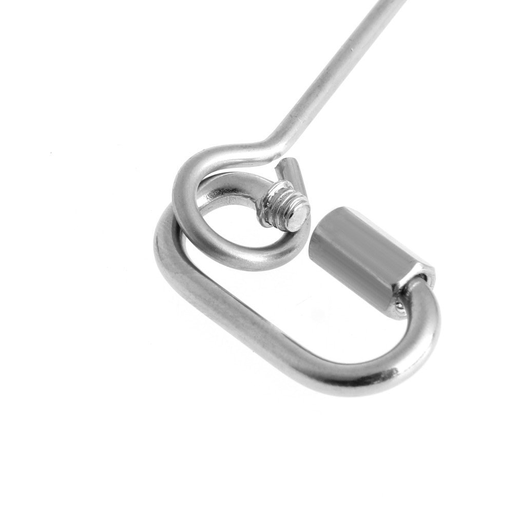 Soporte de acero inoxidable para frutas y verduras, pincho colgante para comida, loro, periquito, cacatúa, pincho, Paloma canaria