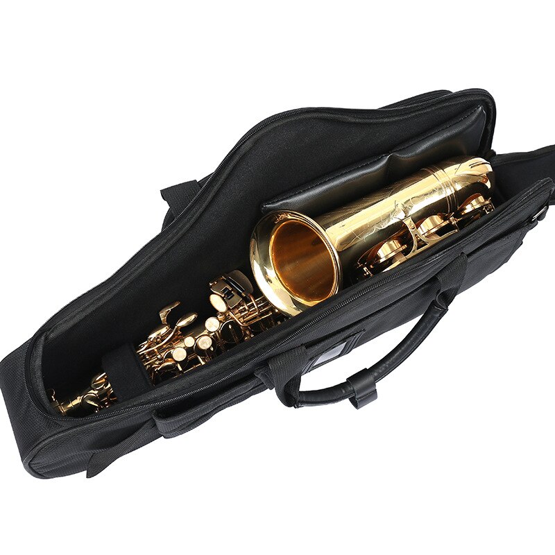 Stijl Alto Sachs Bao Eb Saxofoon Zak Dikke Saxofoon Rugzak Fluwelen Voering