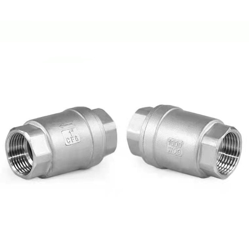 Bspt 1/4 "3/8" 1/2 "3/4" 1 "1-1/4" 1-1/2 "Roestvrij staal SS304 Terugslagklep 1000 Wog Draad In-Line Lente Verticale Controle Tool