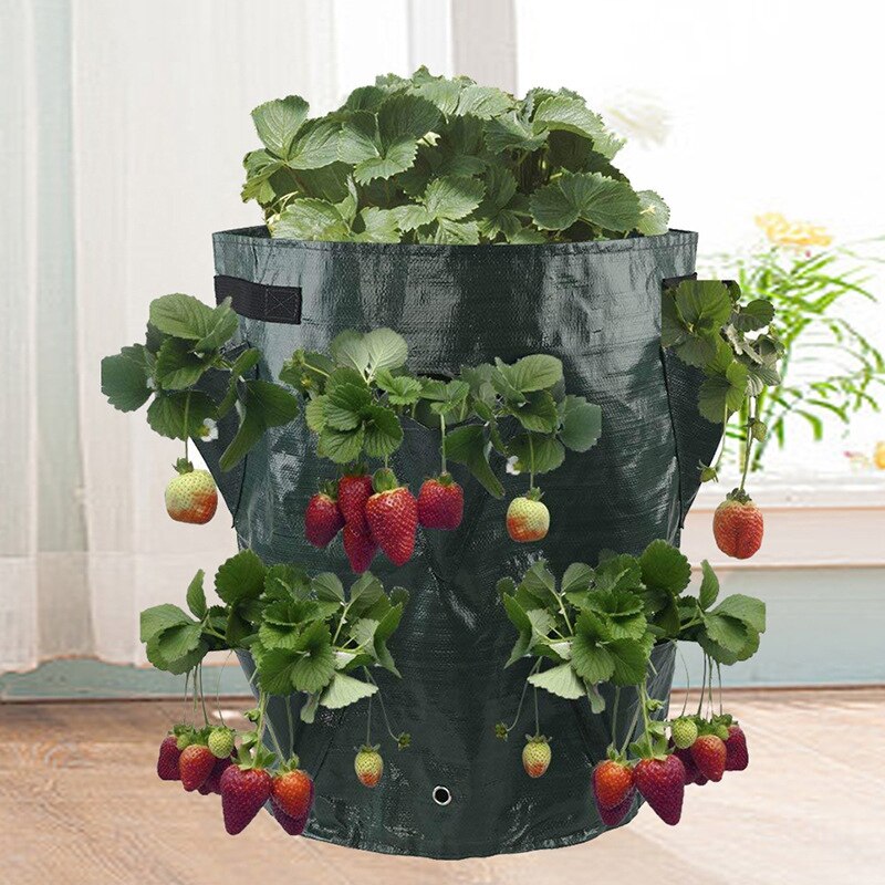 Tuin Groeien Zakken Groenten Aardbei Waterbestendig Verpleging Potten Waterbestendig Verticale Aanplant Zakken Tuin