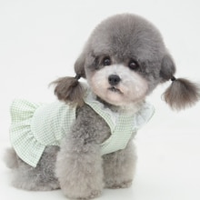 Summer Dog Dress Bowknot Princess Dress Clothes for Small Dogs Wedding Skirt Chihuahua Pug Pet Clothing