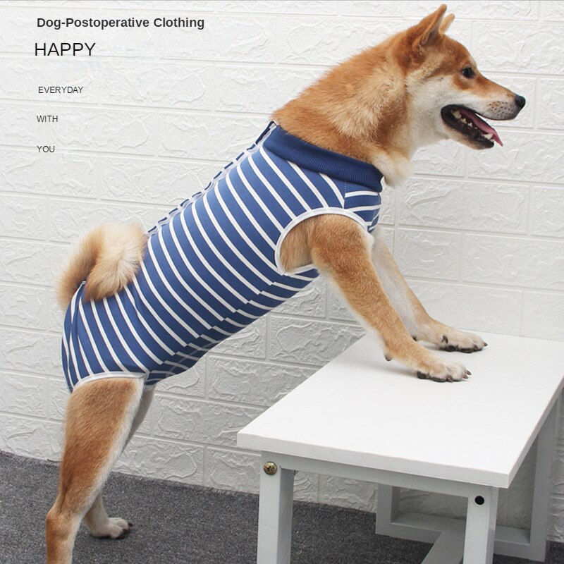 Hund Kleidung Haustier Sterilisation Chirurgische Kleidung Hohe Elastische Atmungsaktive Hund Entwöhnung kastriert Hund postoperativ Kleidung