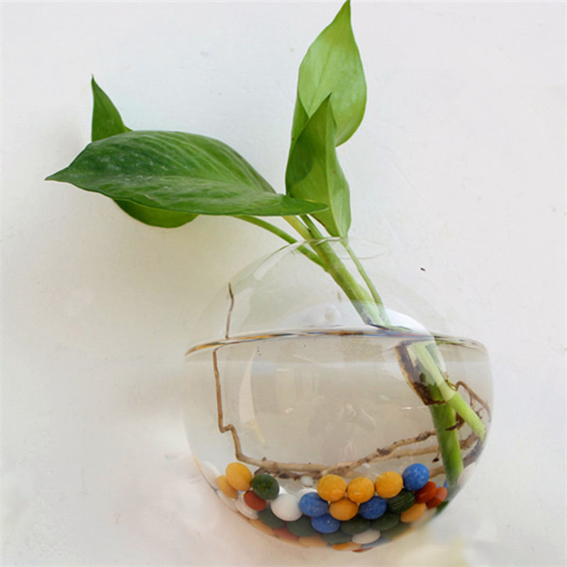 Florero de cristal con forma de globo de terrario, colgante transparente, maceta, maceta para pared, recipiente acuario, decoración para el hogar