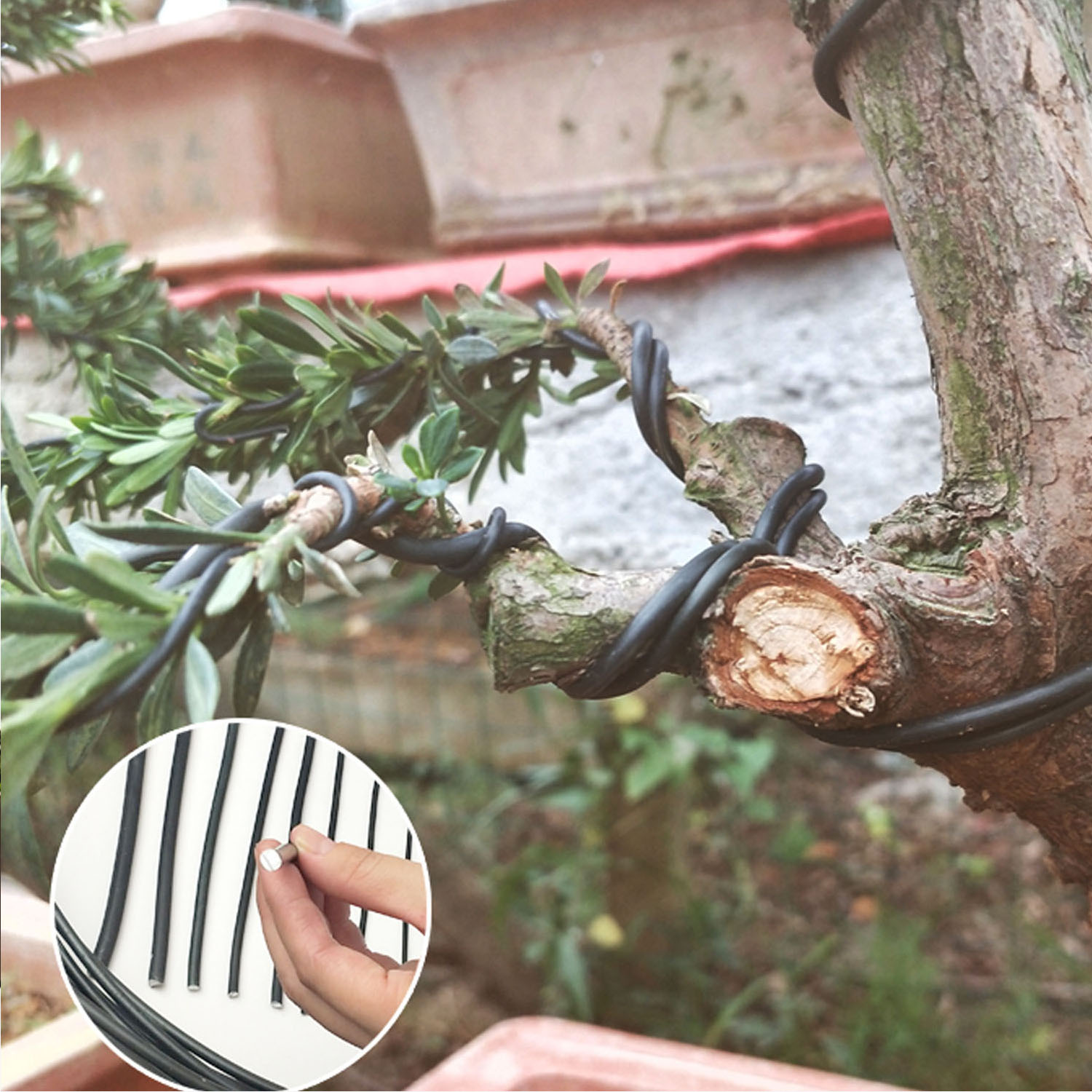 6 rouleau 5m aluminium arbre entraînement fils pour plantes de jardin bonsaï débutants formateurs artistes 1mm/1.5mm/2mm noir