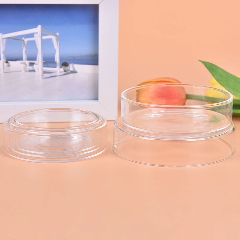 Cuencos de alimentación de cristal transparente para acuario, bandeja alimentadora de comida de gambas para comer, redondo, barato, , 1 unidad