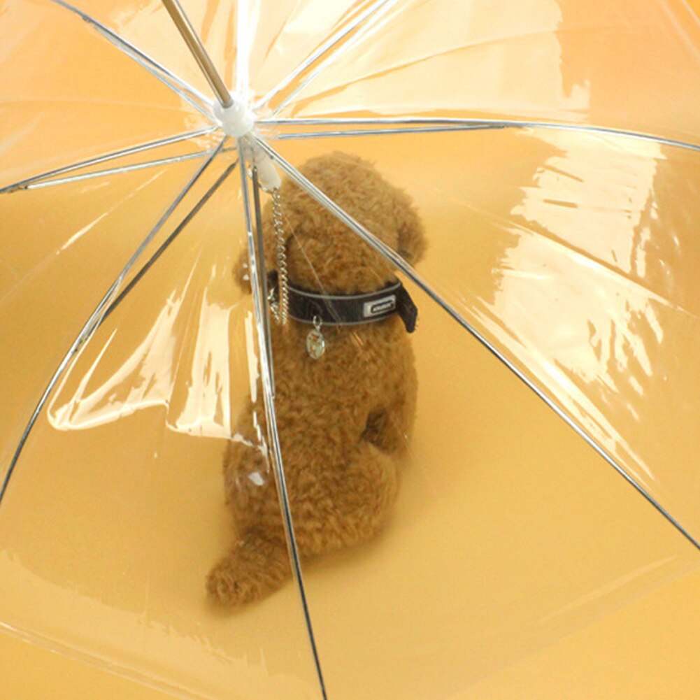Parapluie Transparent en PE pour animaux de compagnie, équipement de pluie avec fils pour petits chiens, confortable pour les animaux de compagnie sous la pluie et la neige
