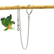 Papegaai Rvs Voet Ring Ketting Opening Activiteit Ring Enkel Voet Stand Enkelband Outdoor Vogel Vliegende Training Accessoires