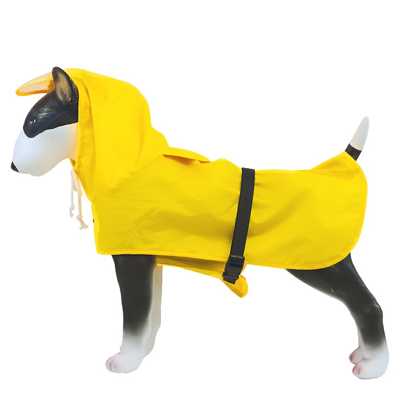 Leuke vakantiehuizen voor reactieve honden - Woef Welkom