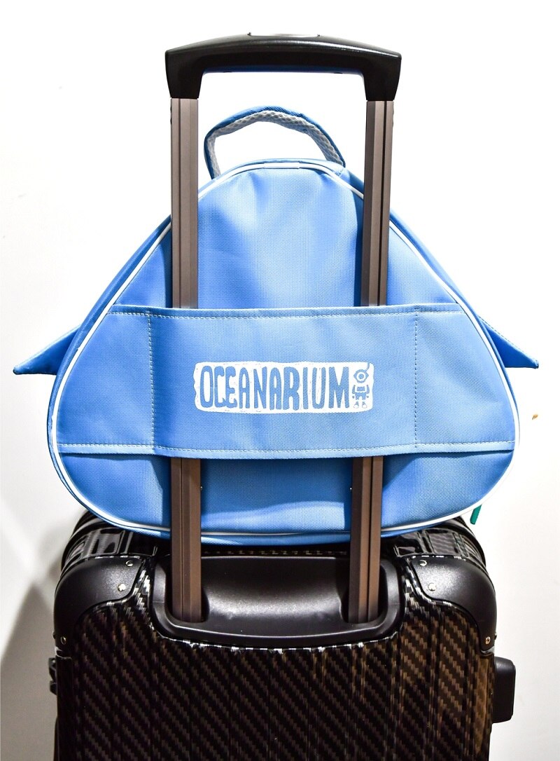 Regulator Bag - RB05 - Diving Equipment - Water Pro