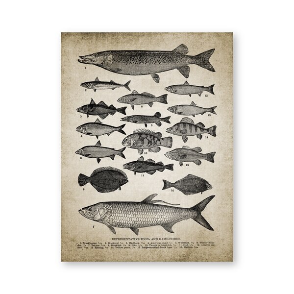 Fishing Angling Wall Art Canvas Posters Prints Breeds Of Fish Painting Freshwater Fish Wall Picture Poster Kraft paper