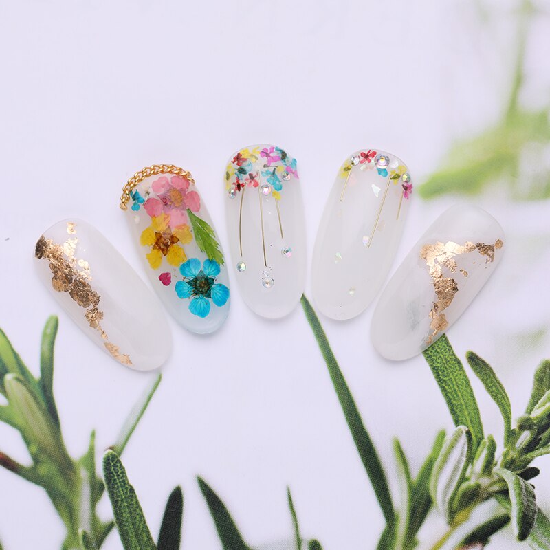 1 doos Kleurrijke Natuurlijke Droge Bloemen Bloemen Gemengde Patronen 3D Nail Art DIY Decoraties Gereedschap Voor UV Gel Polish