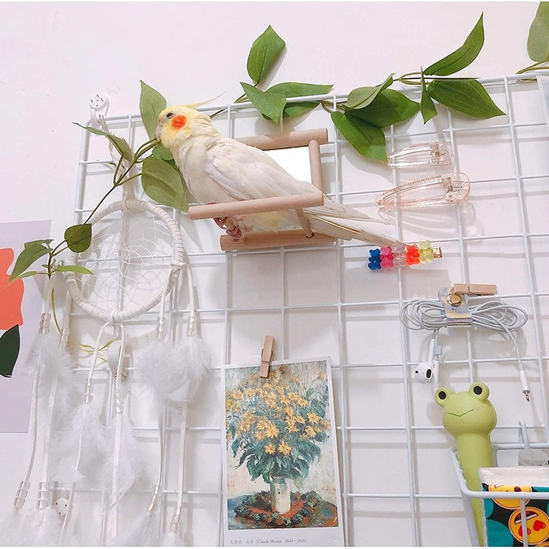 Miroir d&#39;oiseau avec perche, support de jouet de perche d&#39;oiseau, jouet d&#39;oiseau pour Cage de perruches de perroquet