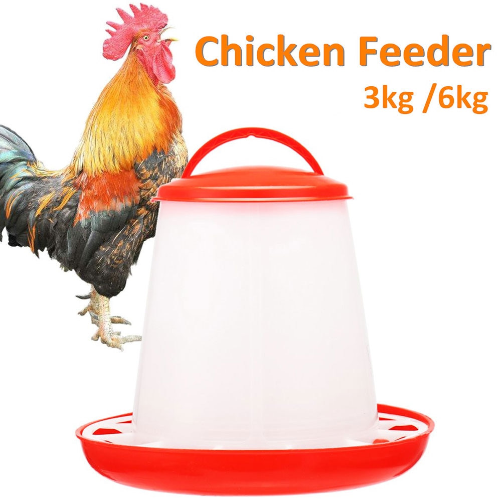Chicken Feeder Drinker Chicken coop feeding Supplies Poultry Auto Drinking Fountains Farm Animal Food Water Accessories Tool