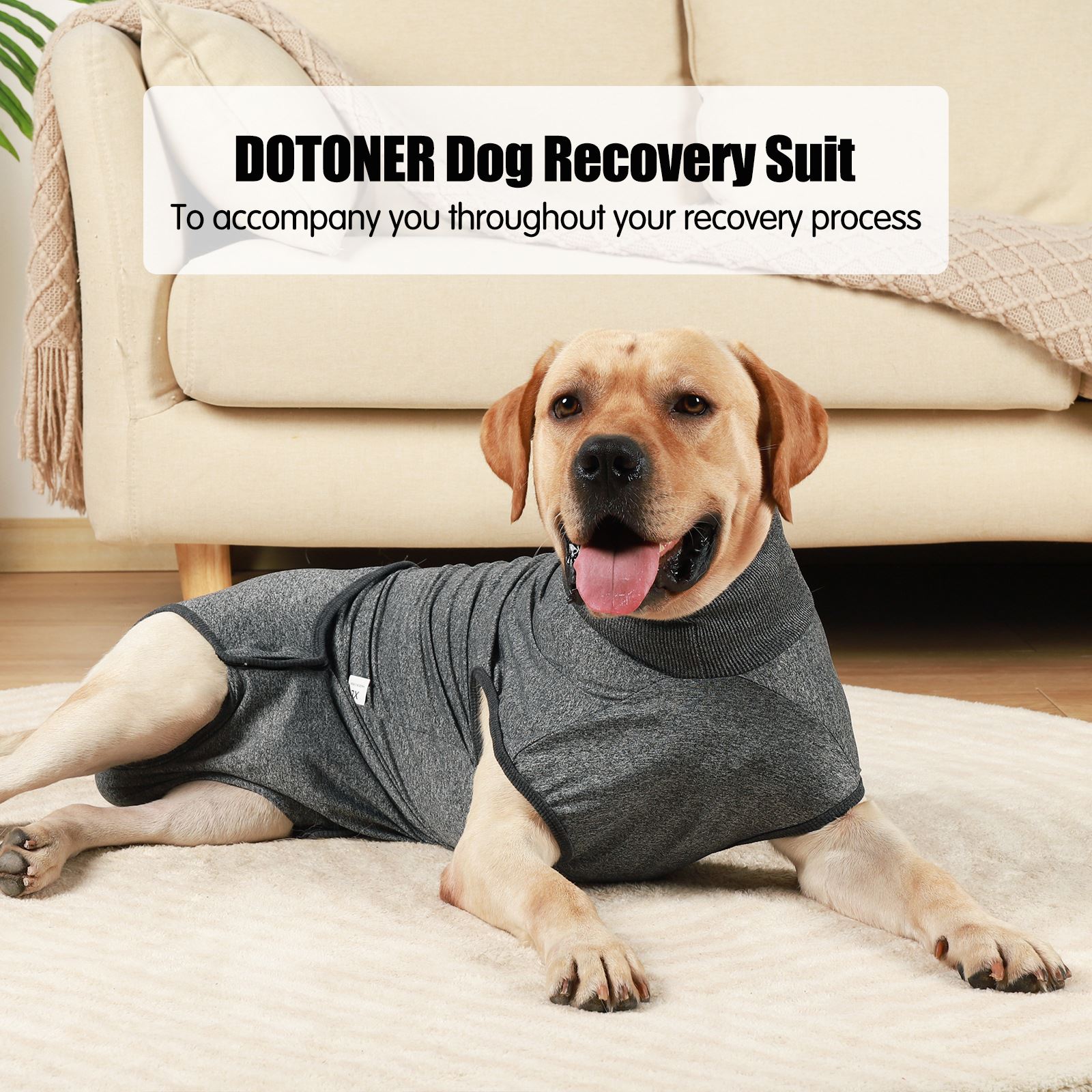 Recovery Suit for Dogs After Surgery Wear Prevent Licking Dog Surgery Recovery Suit with Washable Dog Diapers