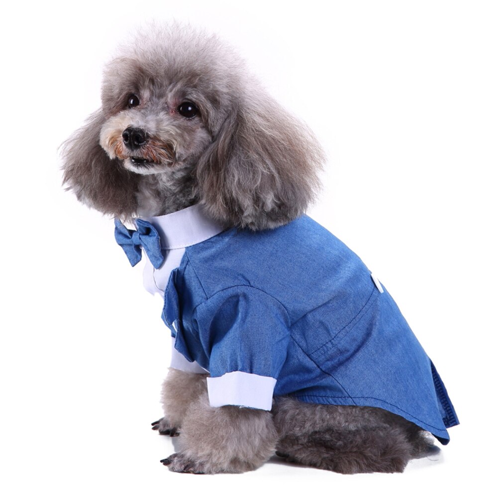 Estilo británico mascota perro boda Formal pajarita esmoquin traje chaqueta novio traje ropa