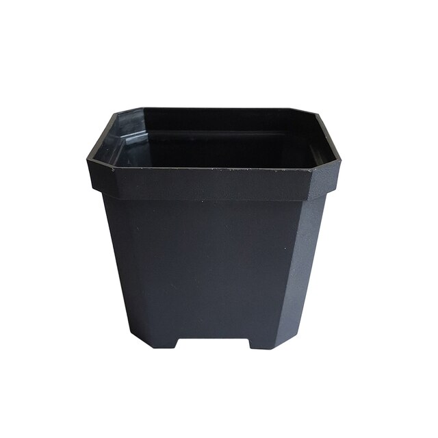 14 Pcs Plastic Dikker Vierkante Bloempotten Home Tuin Kantoor Vetplant Pot Snoep Kleur Kas Kwekerij Potten 10Cm * 10Cm: Black