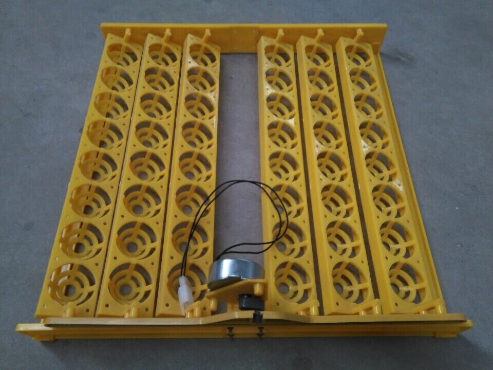 48 Automatic Hatching Machines, Egg Rolls, Chicken, Dove Quail and Egg Tray.