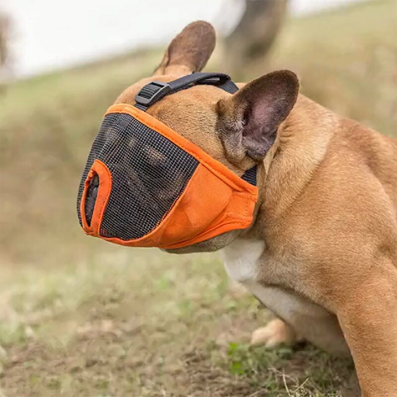 Muselière bouledogue français pour animaux de compagnie, masque pour petit animal domestique, prévention des morsures, panier de souris, respirant, laisse pour chien, fournitures de harnais