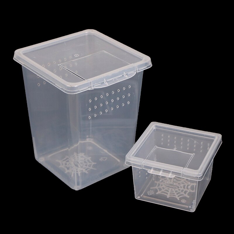 Plastic Insect Spider Habitat Feeding Box Case Container Tank Transport Case Hatching Tank !