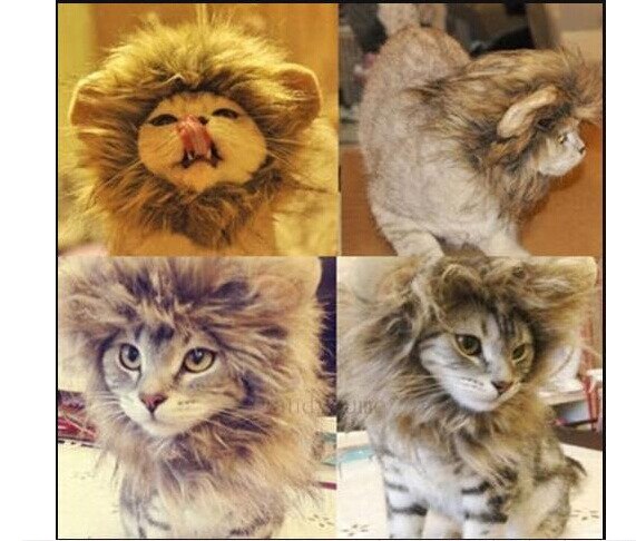 Leuke Leeuw Manen Kat Pruik Huisdier Kleine Hond Katten Kostuum Lion Mane Pruik Cap Hoed Voor Kat Honden Fancy Kostuum cosplay Speelgoed Dierbenodigdheden