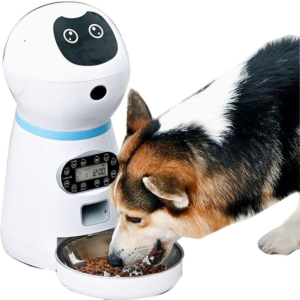 Smart automatisk foderautomat til kæledyr med stemmeoptagelse rustfrit stål lcd-skærm timer til hundemad skål kattefoder dispenser kæledyrsforsyninger