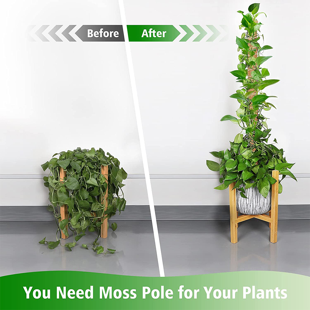 Postes de plantas flexibles DIY para plantas, palos Monstera, soporte para entrenar en interiores, para crecer hacia arriba, estacas hechas a mano para escalar
