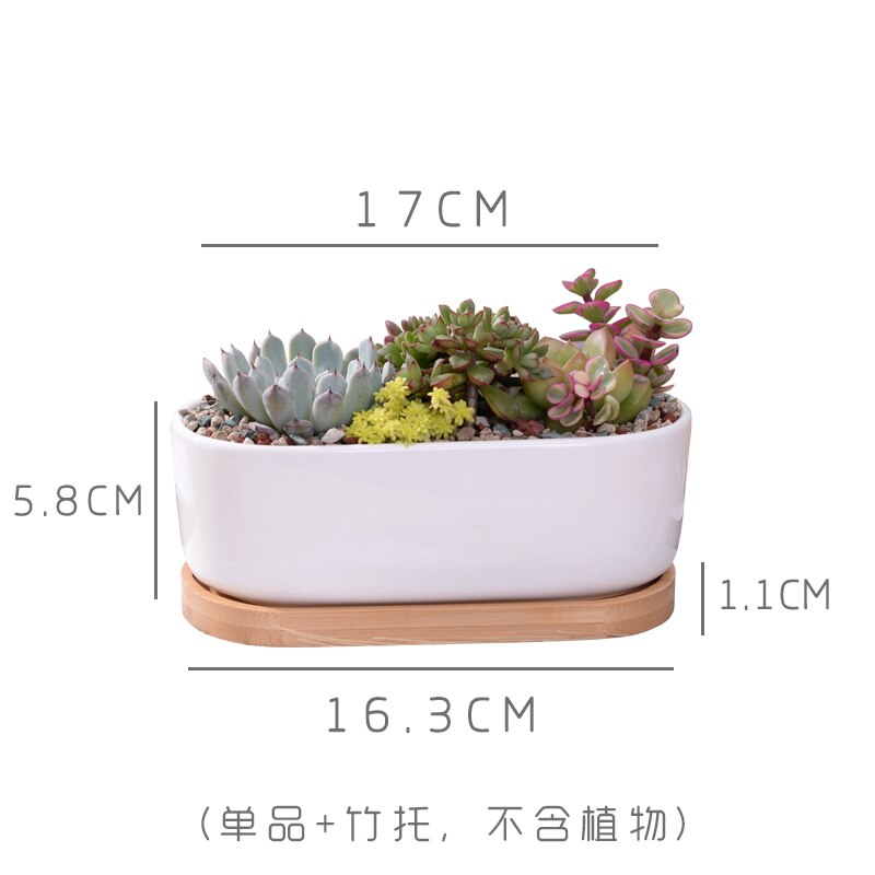 1 Set Minimalist White Ceramic Succulent Plant Pot Porcelain Planter Home Office Decoration Christmas (1 Pot + 1 Tray): Default Title