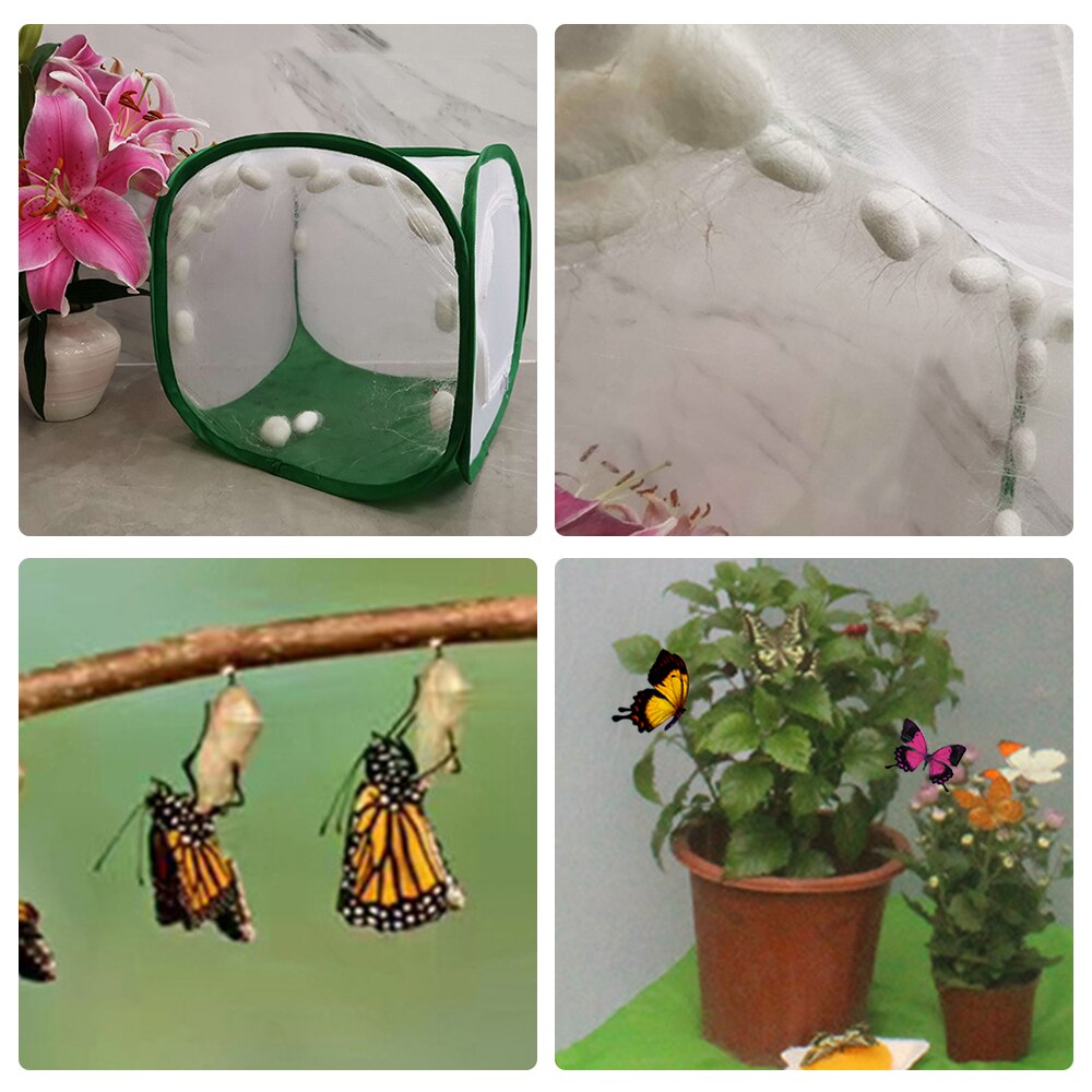 Farfalla crescita osservazione scatola Gabbia Pregare mantide Bastone Insetto Farfalla Gabbia Custodia custodia Gabbie di Allevamento Netto Panno