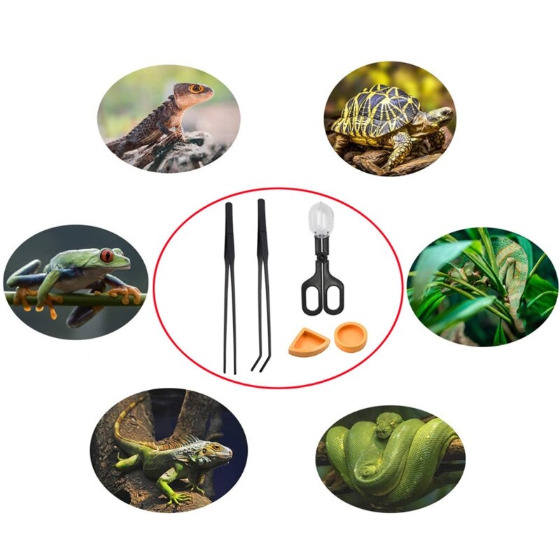 Herramienta de alimentación para reptiles, pinzas de grillo anti-choques con pinzas para acuarios, serpientes, Gecko, 5 piezas