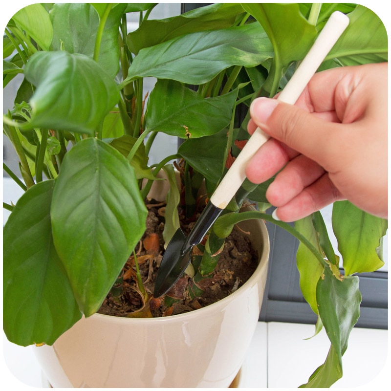 1 sett mini hage hagearbeid planteverktøy liten spade rake spade hjem potteblomster planter graveverktøy trehåndtak metallhode