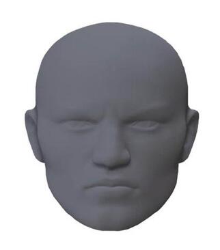 Type de tête de boxe cible de main cible de visage humain cible de tête en forme humaine cible de main en forme de tête de poche cible réelle cible humaine: Grey