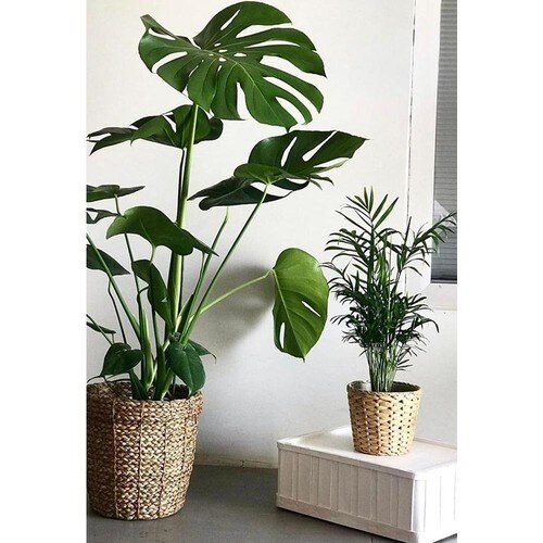 Artificial Monstera Leaf 32x26cm Decorative material for Home Office study room