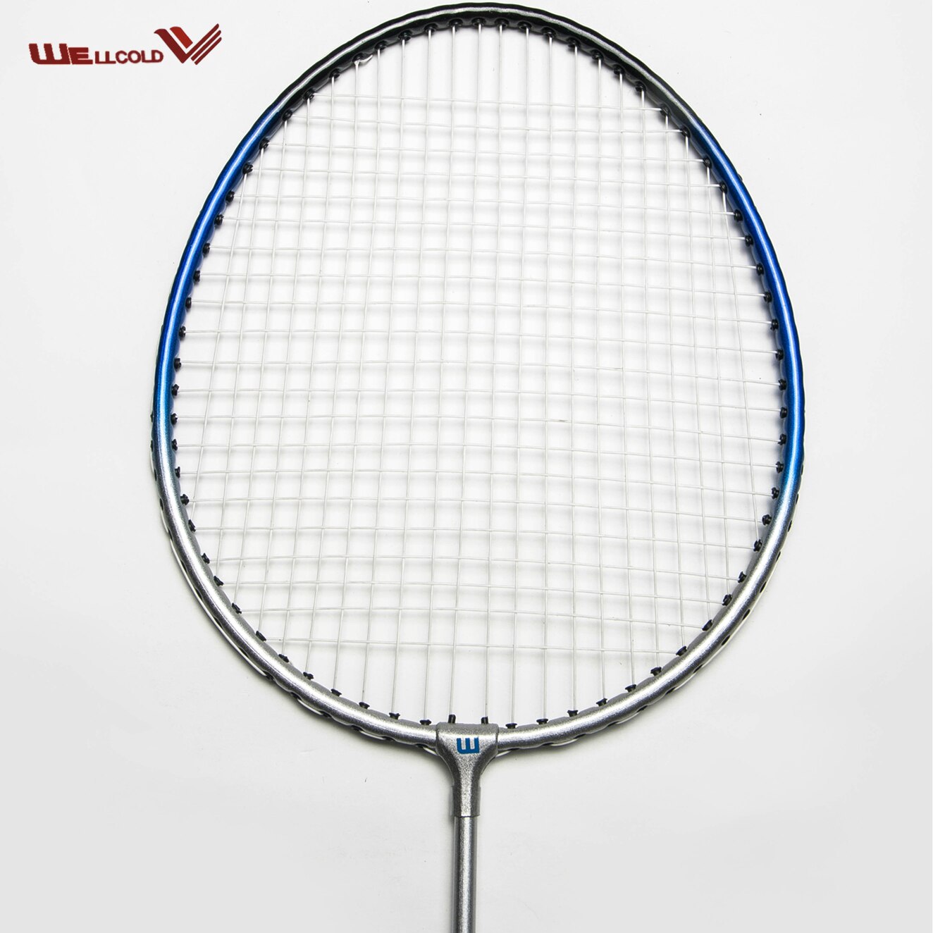 Sport Training Beste Racket Badminton, Ijzer Batminton Racket Professionele Voor Sport