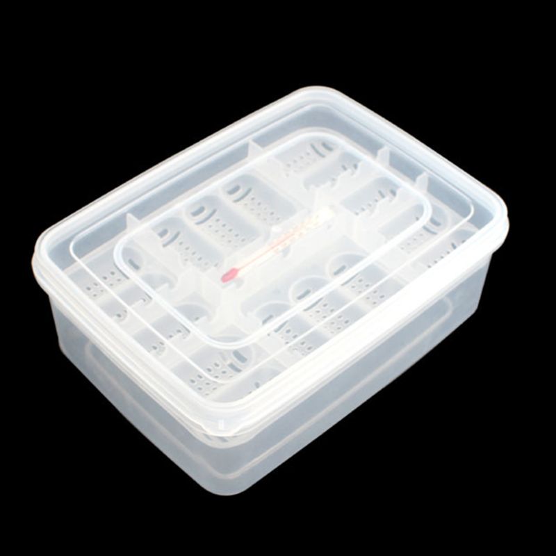 Gecko-bandeja de huevos para reptiles, máquina para incubar huevos, lagarto, serpiente, dispositivo incubador dedicado, incubadora de tortugas, proveedor