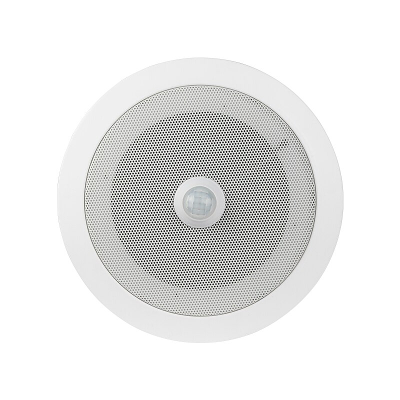 Overhead PIR Motion Sensor Geactiveerd Audiospeler Plafond Luidspreker Ingebouwde 10 Watt Versterker Grote Geluid
