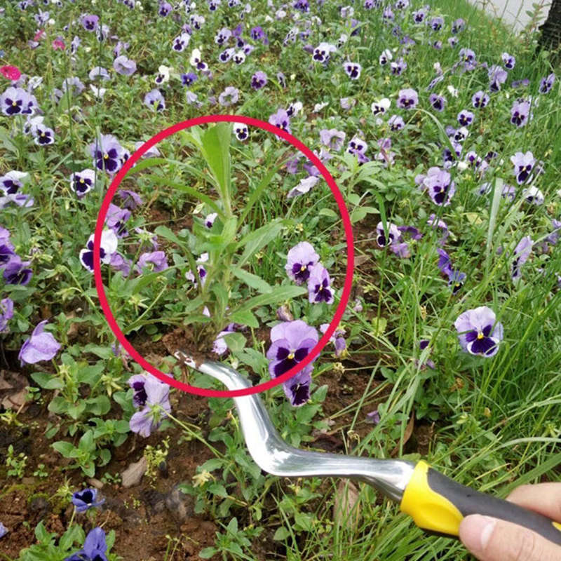 Tête fourchue main désherbeur extracteur Patio en alliage d'aluminium poignée jardin enlever les mauvaises herbes pelle jardin cour coupe outils