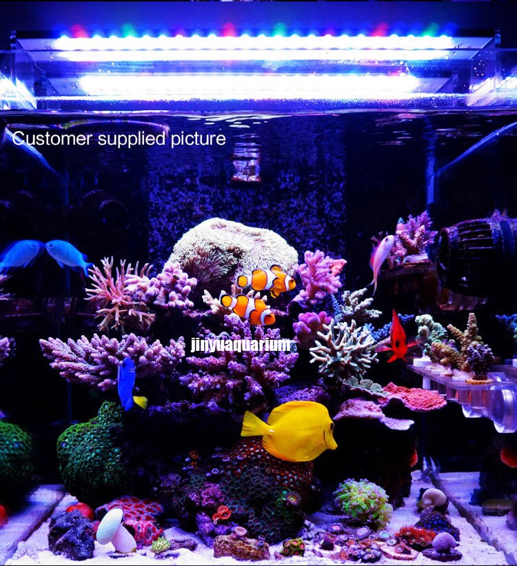 Chihiros Marine LED licht koraal SPS LPS aquarium sea reef tank wit blauw korte stijl