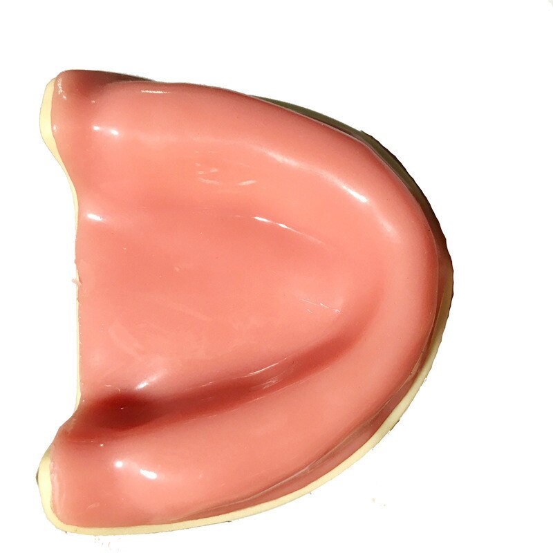 Práctica de sutura gingival suave de 7 tipos, formación Dental, implante de simulación de práctica de implante, modelo de dientes faltantes osteoaxilares: Transparente